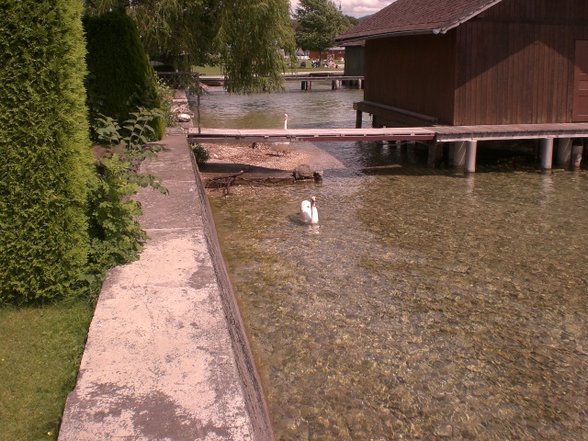 Seewalchen am Attersee 2007 - 