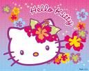 Hallo Kitty - 