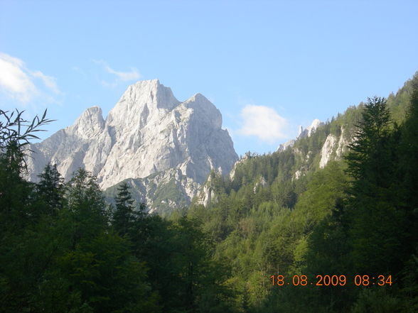 Schwammerl suchen Steiermark 18.08.2009 - 