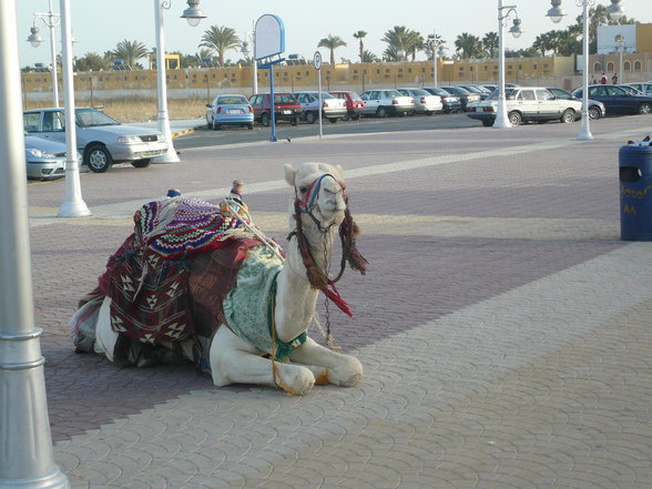 HuRgHaDa - 