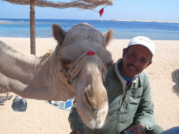 HuRgHaDa - 