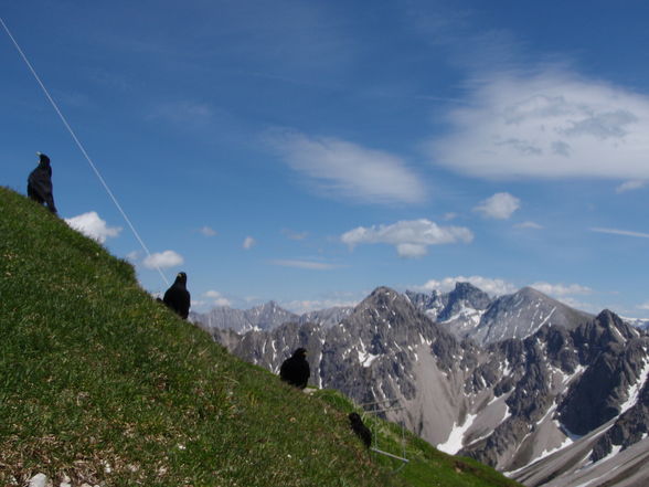 Hiking in Tirol - 