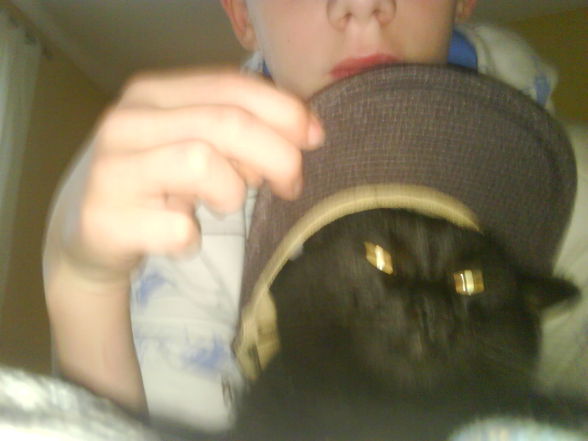 My cat mit Burten cap - 