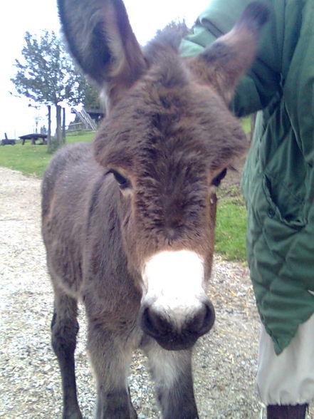 Besuch am BUCHENBERG! - 