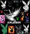 Häschen ( Playboy) - 