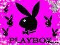 Häschen ( Playboy) - 