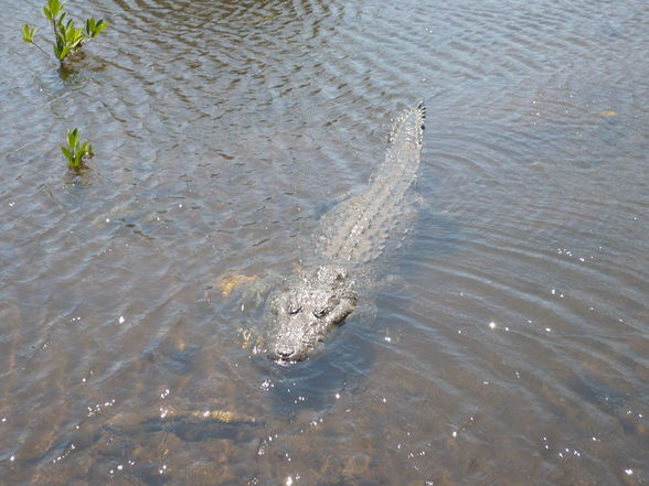 Mexico  Urlaub 2009 - 