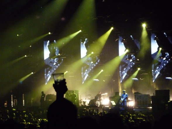 OaSiS_Concert - 