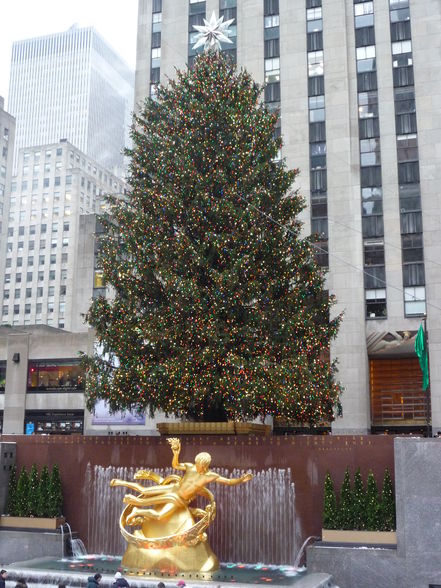 Christmas_in NYC - 