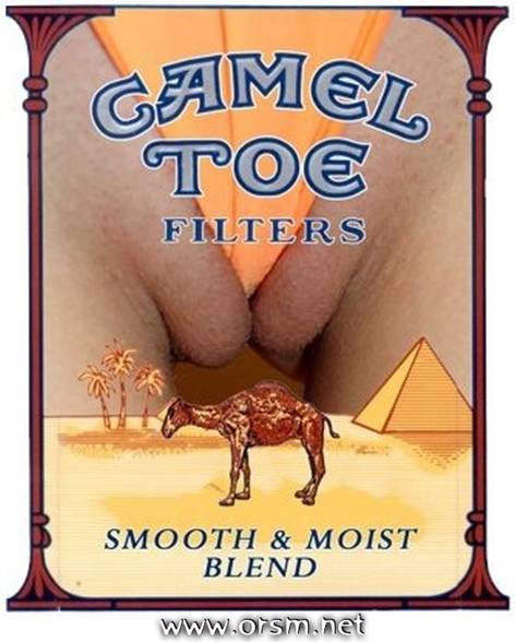 cameltoes - 