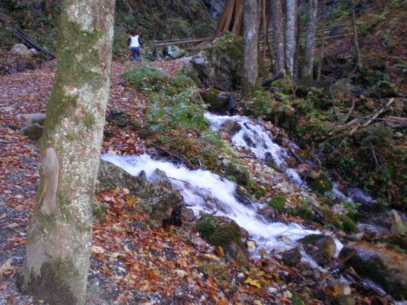 Vogel- Gsang- Klamm - 