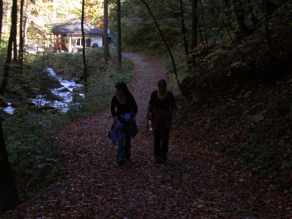 Vogel- Gsang- Klamm - 