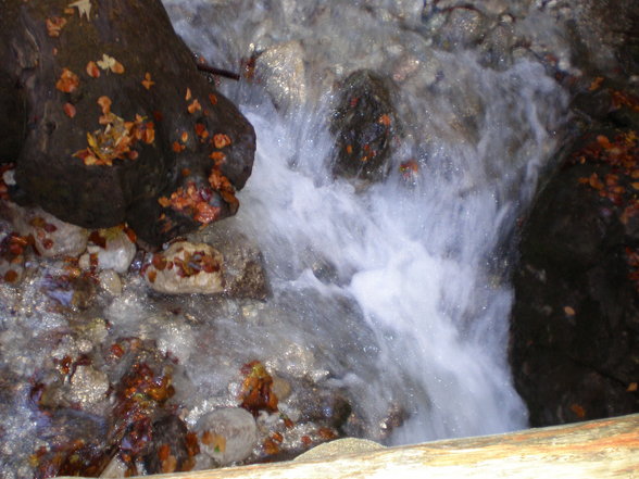 Vogel- Gsang- Klamm - 