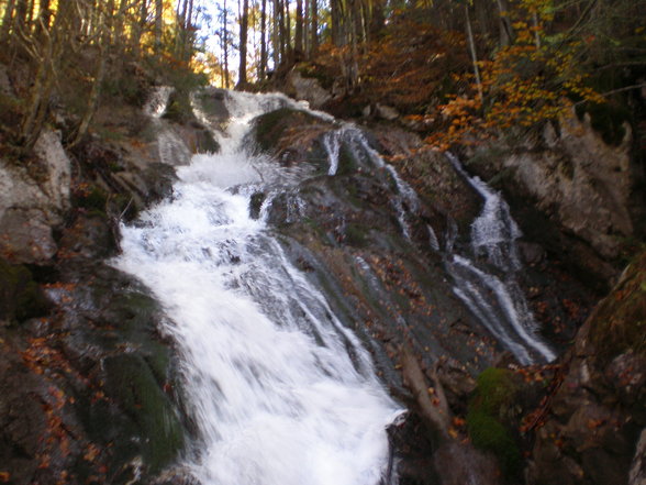 Vogel- Gsang- Klamm - 