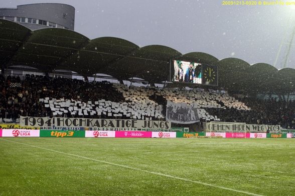 Sturm Graz meine LiieBee - 