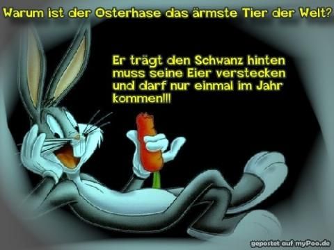 zum lachen - 