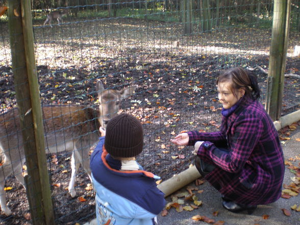 tierpark herbst - 