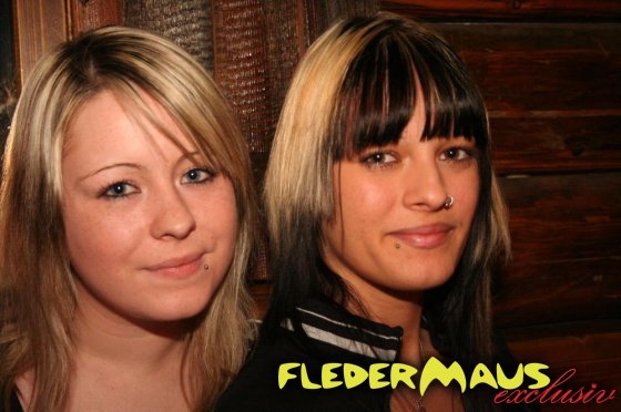 Fledermaus  Linz - 