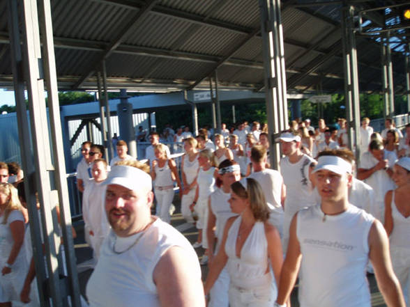 Sensation White 2006 - 