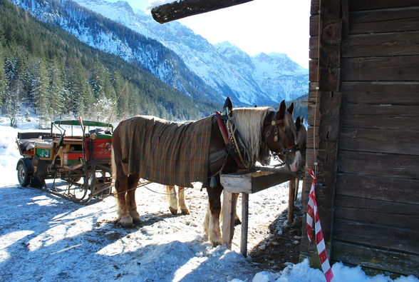 Kleinarl im Winter - 