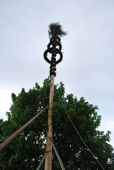 Maibaum 09, Party in der Gemüsehalle - 