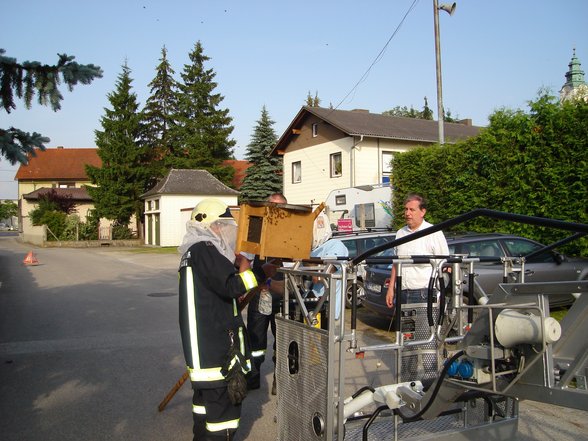 freiwillige feuerwehr der stadt eferding - 