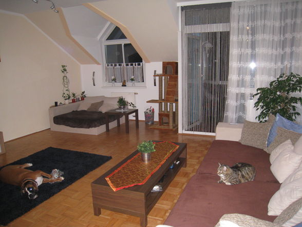 Unsere neue Wohnung - 