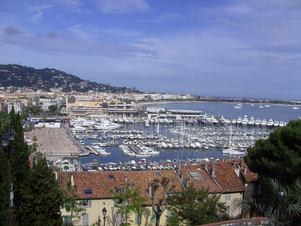 Cannes - La vie est une fête!!  - 