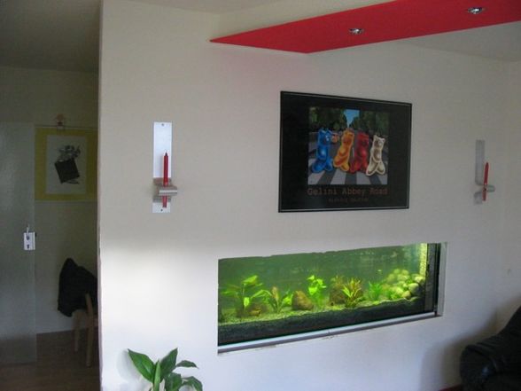 Aquarium!!!! - 