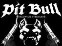 Bit bull - 