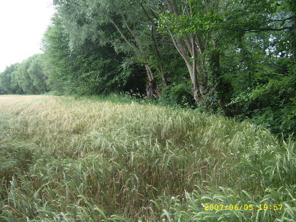 Holzleiten und Umgebung - 