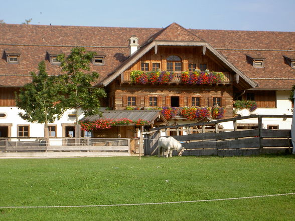 Sommertag auf Gut Aiderbichl - 