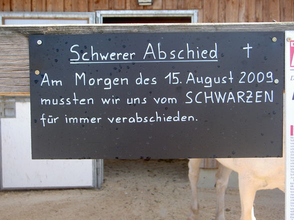 Sommertag auf Gut Aiderbichl - 