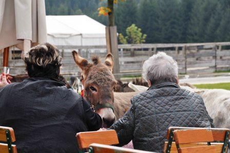 Gut Aiderbichl 2009 - Teil 2 - 