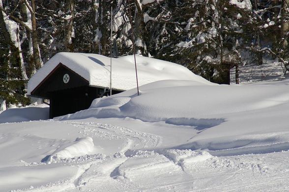 Skitag am Königsberg - 