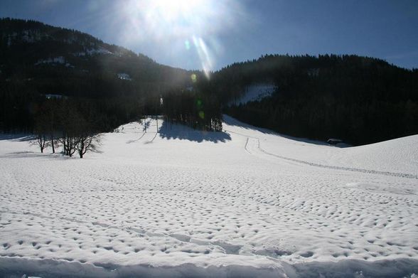 Skitag am Königsberg - 