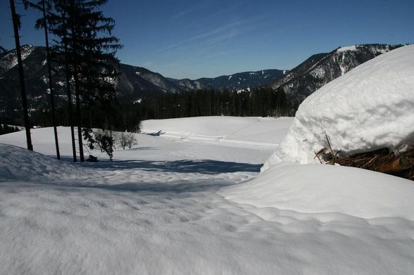 Skitag am Königsberg - 