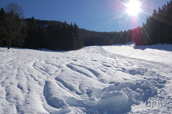 Skitag am Königsberg - 