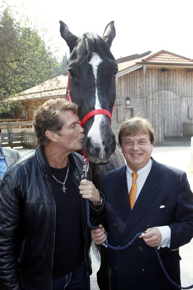 David Hasselhoff - 