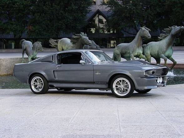 Ford Shelby GT500....... - 