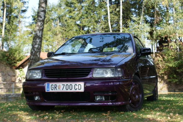 Polo 16V - 