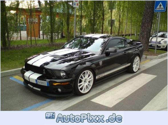 Ford mustang shelby gt500 - 