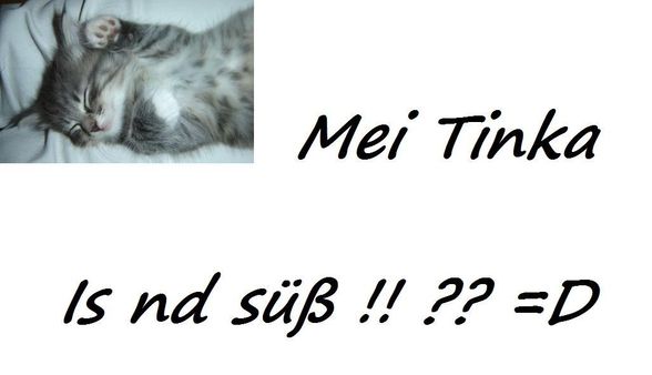 Mei KaTze .... TinKa !! =D - 