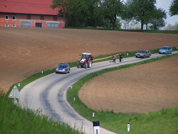 Maibaumaufstellen - 