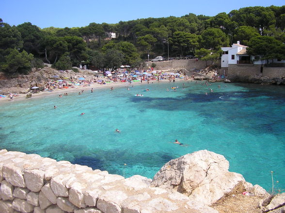 traumwoche in cala ratjada - 