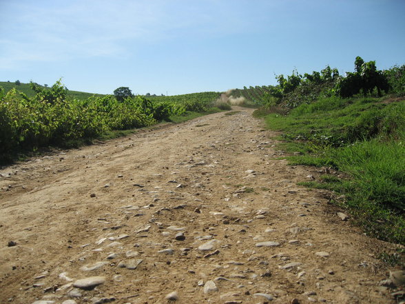 Camino de Santiago - 