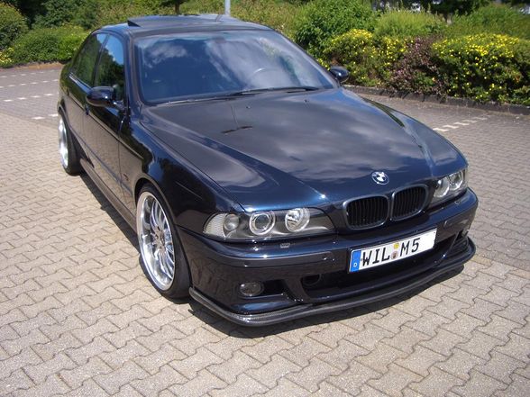 M5   M6 - 