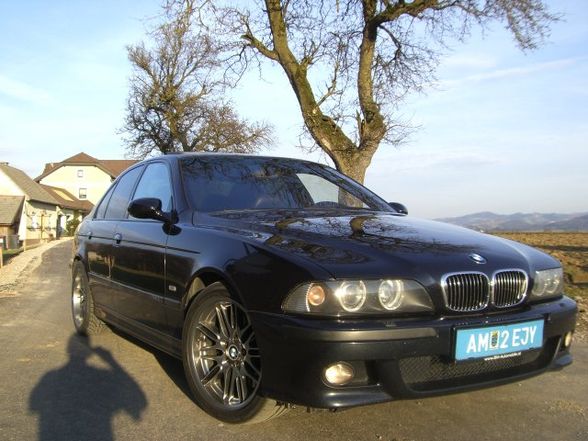 M5   M6 - 