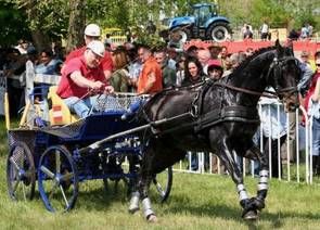 CAI-Kladruby,Fabiansebestyen,Altenfelden - 