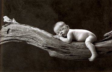 Anne Geddes - 